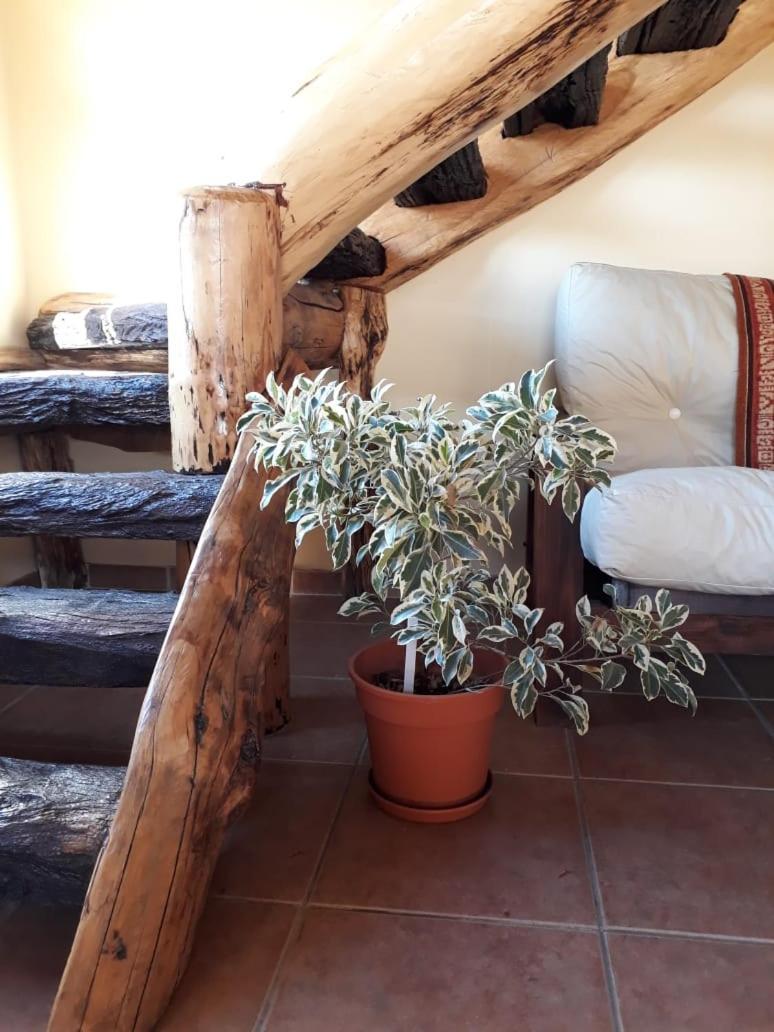 Morena El Chalten Buitenkant foto